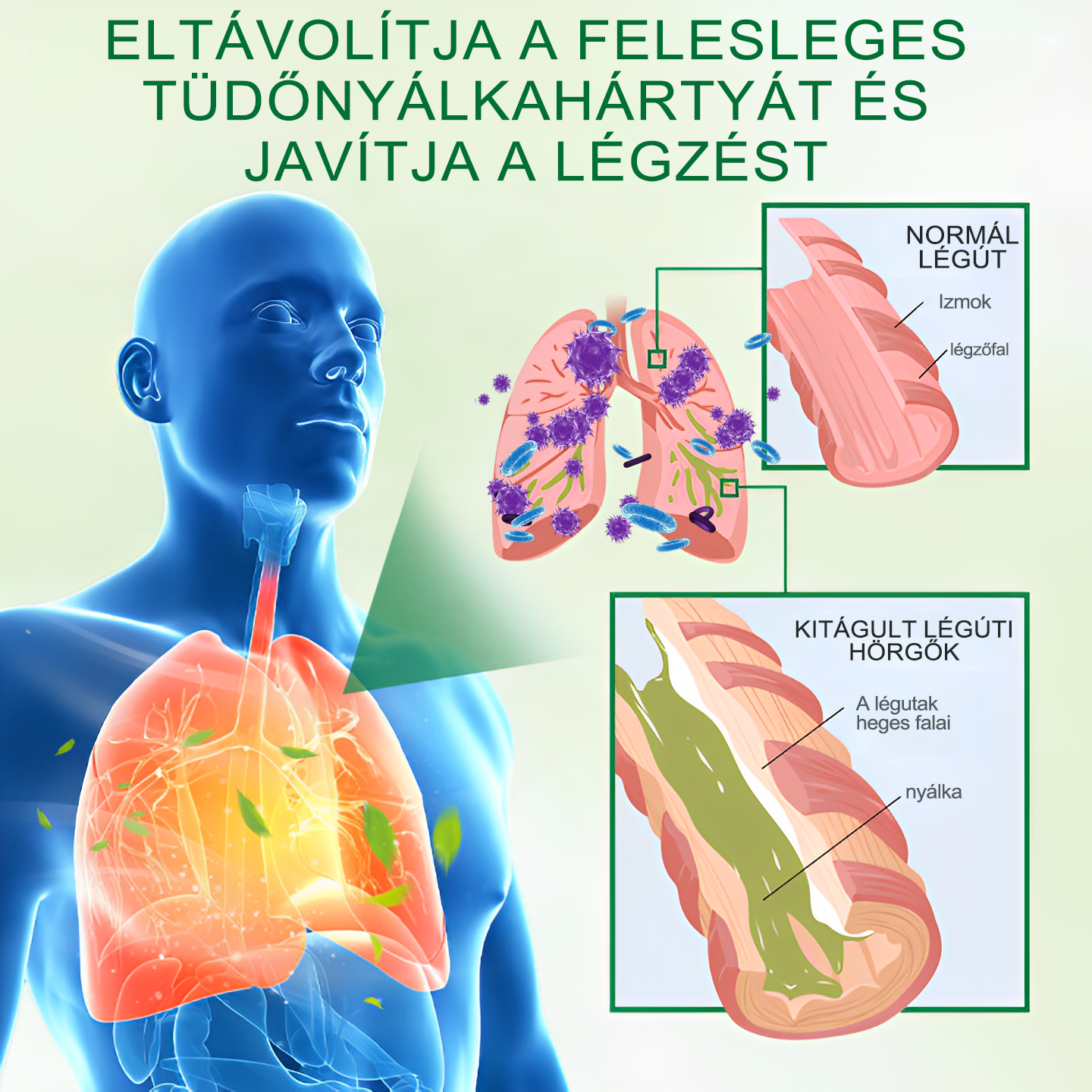 💚Gooyeer™ Fejlett Tüdőtisztító Spray - Tüdőspecialisták ajánlásával -CE tanúsítvánnyal rendelkezik