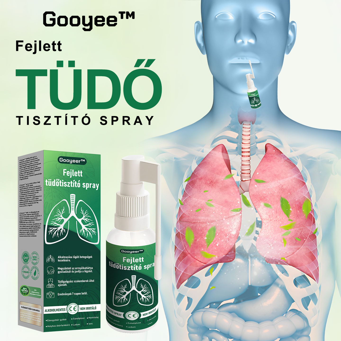 💚Gooyeer™ Fejlett Tüdőtisztító Spray - Tüdőspecialisták ajánlásával -CE tanúsítvánnyal rendelkezik