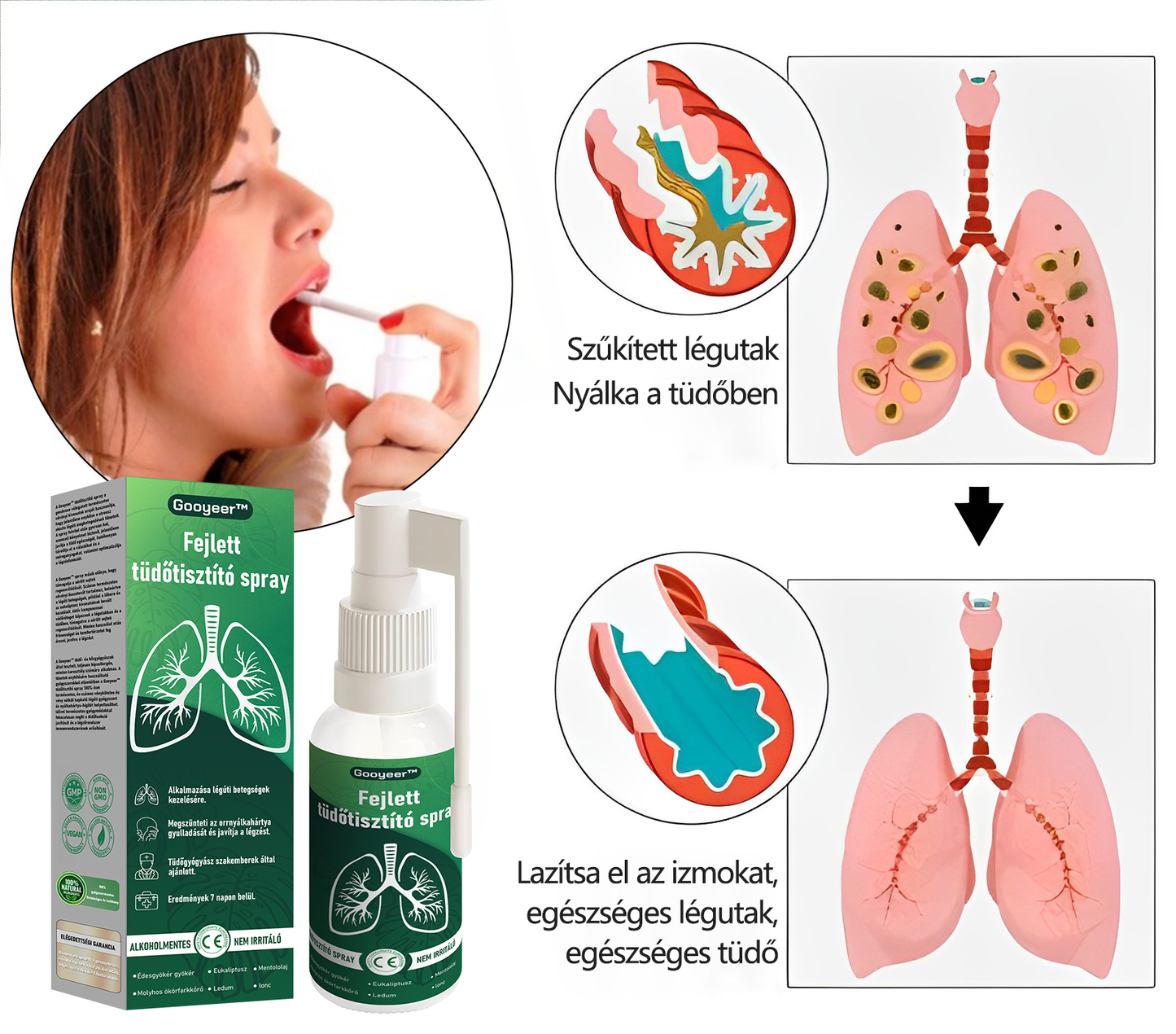 💚Gooyeer™ Fejlett Tüdőtisztító Spray - Tüdőspecialisták ajánlásával -CE tanúsítvánnyal rendelkezik