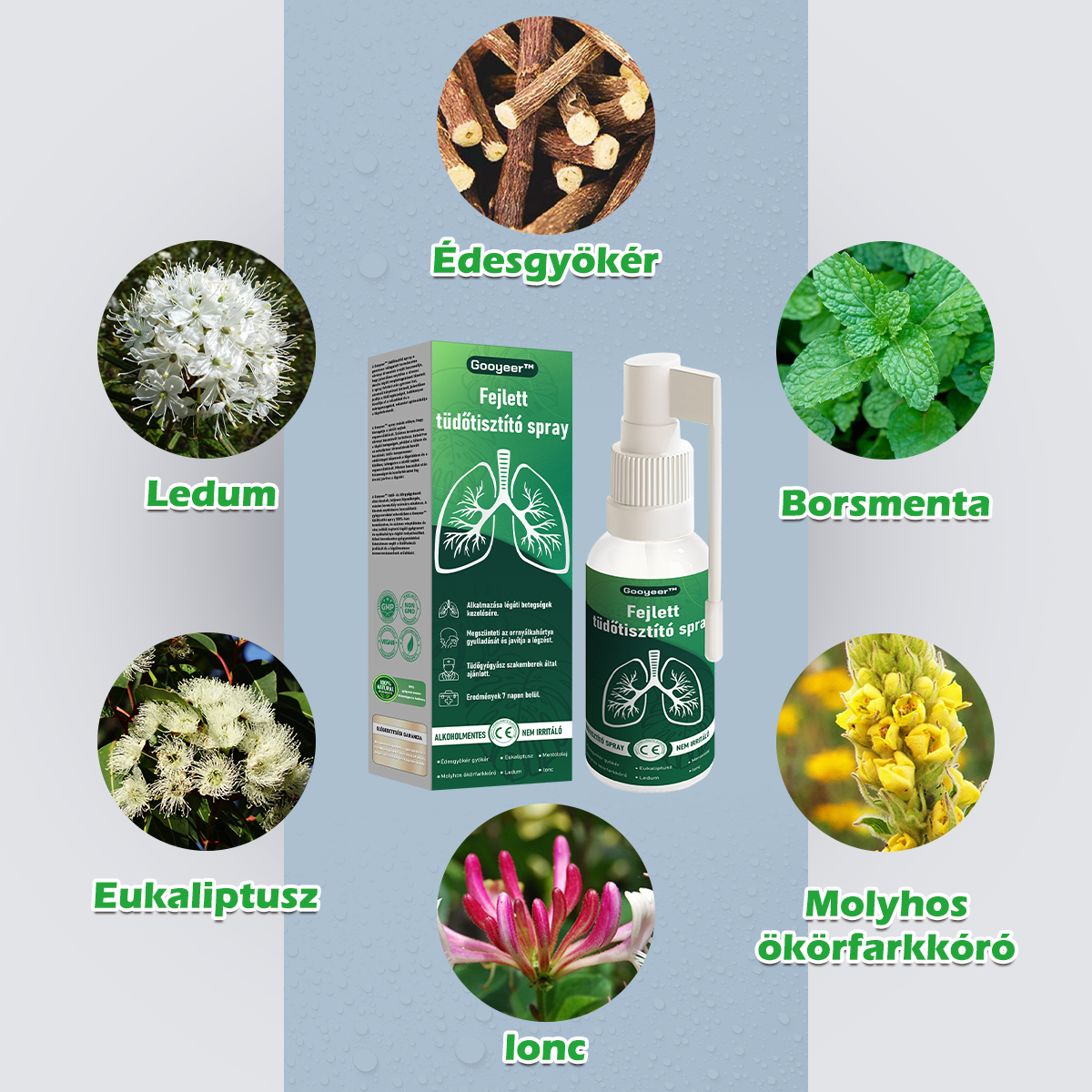 💚Gooyeer™ Fejlett Tüdőtisztító Spray - Tüdőspecialisták ajánlásával -CE tanúsítvánnyal rendelkezik